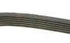 Ремінь генератора MB OM601/602 (-PS) DAYCO 6PK1000 (фото 2)