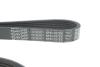 Ремень генератора Ford Focus/Kuga/C-Max 1.5 EcoBoost 14- DAYCO 6PK1027EE (фото 4)