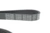 Ремень генератора Ford Focus/Kuga/C-Max 1.5 EcoBoost 14- DAYCO 6PK1027EE (фото 4)