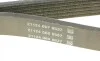 Ремінь генератора Ford Fiesta VI 08- DAYCO 6PK1029EE (фото 4)