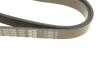 Ремень генератора Nissan Almera 2.0 00-03/ Primera 2.0 16V 96-01 DAYCO 6PK1030 (фото 4)