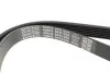 Ремінь генератора VW Caddy 1.9D/SDI -03 (WP,TP) DAYCO 6PK1035 (фото 3)