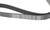 Ремень генератора Lexus RX 03-08 DAYCO 6PK1040 (фото 4)