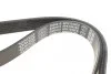 Ремень генератора Ford Focus 1.4i 98-01 DAYCO 6PK1042EE (фото 3)