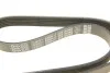 Ремень генератора Ford Focus 1.6i 03- DAYCO 6PK1059EE (фото 5)