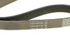 Ремень генератора BMW M3 (E90/E93) 07-13/ Peugeot 306 1.8-2.0 94-01 DAYCO 6PK1065 (фото 3)