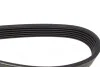 Ремень генератора VW Caddy 1.4-1.6 95-10 DAYCO 6PK1069 (фото 3)