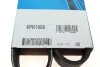 Ремень генератора VW Caddy 1.4-1.6 95-10 DAYCO 6PK1069 (фото 5)