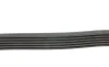 Ремень генератора VW Crafter 2.0TDI (-AC) DAYCO 6PK1082 (фото 2)