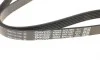 Ремень генератора VW Golf V/VI/Passat VI/VII/Tiguan/Touran 1.4TSI/FSI/1.6 FSI 03-18 DAYCO 6PK1087 (фото 2)