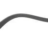 Ремень генератора Citroen C3/C4/Peugeot 307 1.4-1.6HDi 02- (6PK1090) DAYCO 6PK1090EE (фото 3)