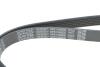 Ремень генератора Citroen C3/C4/Peugeot 307 1.4-1.6HDi 02- (6PK1090) DAYCO 6PK1090EE (фото 4)