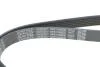 Ремень генератора Citroen C3/C4/Peugeot 307 1.4-1.6HDi 02- (6PK1090) DAYCO 6PK1090EE (фото 4)
