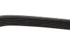 Ремень генератора Nissan Primera/Fiat Marea 1.8-2.4JTD 96-02 DAYCO 6PK1105 (фото 4)