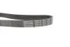 Ремень генератора Skoda Octavia/VW Golf 1.6-2.0/1.9TDI 97-13/Passat B6/B7 1.8-2.0TSI/T5 1.9TDI 03-15 DAYCO 6PK1120S (фото 3)