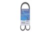 Доріжковий пас DAYCO 6PK1139H (фото 2)