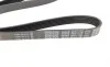 Ремінь генератора Renault Duster 1.5dCi 10- DAYCO 6PK1178 (фото 2)