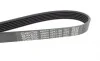 Ремень генератора Citroen Jumper/VW T4 2.0 HDI/TSI 02- DAYCO 6PK1185 (фото 3)