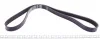 Ремінь генератора Citroen Jumpy 2.0HDI 10- (6PK1245) DAYCO 6PK1245DT (фото 3)