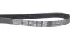 Ремінь генератора VW Golf IV 2.3-3.2 i 99-05(1260mm) DAYCO 6PK1260 (фото 2)