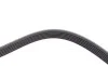 Ремінь генератора VW Golf IV 2.3-3.2 i 99-05(1260mm) DAYCO 6PK1260 (фото 3)