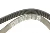 Ремінь генератора Ford Granada/Fiat Bravo 1.9D/2.0 07- DAYCO 6PK1270 (фото 4)