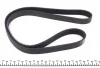 Ремінь генератора Ford Focus 1.8/2.0i 03-12 DAYCO 6PK1300 (фото 2)