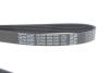 Ремінь генератора Citroen Berlingo/Peugeot Partner 1.6 HDi 05-15 DAYCO 6PK1341 (фото 4)