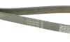 Ремінь генератора Citroen Berlingo/Peugeot Partner 1.6HDI (-AC) DAYCO 6PK1360S (фото 3)