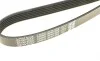 Ремінь генератора Mitsubishi Pajero III 2.5TDi 01-06 DAYCO 6PK1365 (фото 4)