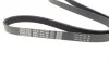 Ремінь генератора Citroen Berlingo/Fiat Scudo/Peugeot Partner 1.9D 98- DAYCO 6PK1388 (фото 2)