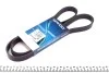 Ремень генератора Renault Kangoo 1.9D 98- (6PK1407) DAYCO 6PK1407S (фото 1)