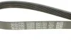 Ремень генератора Citroen Berlingo/Fiat Scudo 1.9D (1868) DAYCO 6PK1437 (фото 4)