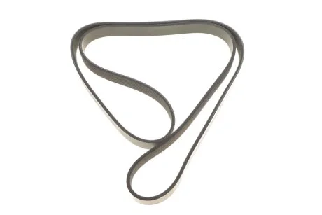 Дорожный пас DAYCO 6PK1525S