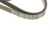 Ремень генератора Skoda Octavia/VW Golf IV 96-10 DAYCO 6PK1545 (фото 5)