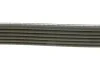 Ремень генератора Citroen Berlingo 1.6 00-08/ Nemo 1.4i 08- DAYCO 6PK1558 (фото 2)