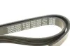 Ремень генератора Citroen Berlingo 1.6 00-08/ Nemo 1.4i 08- DAYCO 6PK1558 (фото 4)