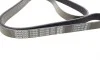Ремінь генератора Citroen Berlingo/Peugeot Bipper/Partner (6PK1560/1565) DAYCO 6PK1565 (фото 2)