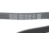 Ремінь генератора Opel Astra 1.7CDTi 03-/Renault Megane1.9 dCi 97-03 DAYCO 6PK1606 (фото 4)