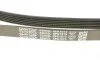 Ремень генератора VW Crafter 2.0TDI 06- DAYCO 6PK1613 (фото 4)