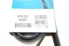 Ремень генератора Opel Astra 1.7CDTI DAYCO 6PK1625 (фото 5)