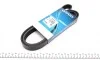 Ремінь генератора Ford Escort 1.4 90-99 DAYCO 6PK1655 (фото 1)