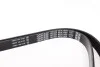Ремінь генератора Ford Escort 1.4 90-99 DAYCO 6PK1655 (фото 2)