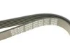 Ремінь генератора Fiat Scudo/Citroen Berlingo/VW Golf IV 1.8/1.9TDI 97- DAYCO 6PK1660 (фото 4)