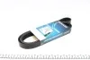 Ремінь генератора Ford Escort 1.6/1.8i DAYCO 6PK1675 (фото 1)