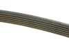 Ремінь генератора VW T4 2.5TDI, 95-03, -AC/Caddy III 1.2TSI, 10-15, -AC DAYCO 6PK1692 (фото 3)