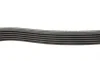 Ремень генератора Citroen Jumper 1.9TD 94-02 (ALT,PS,AC) DAYCO 6PK1705 (фото 2)