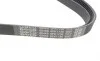 Ремень генератора VW Caddy III/Fiat Scudo 1.4/1.4TSI 03- DAYCO 6PK1736 (фото 2)
