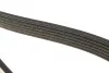 Ремень генератора VW LT 2.5TDI 96-01/Peugeot Expert 1.9D/2.0HDI 98- DAYCO 6PK1750 (фото 4)