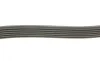 Ремень генератора MB W202/203/VW/Audi 2.4/2.8i DAYCO 6PK1760 (фото 2)